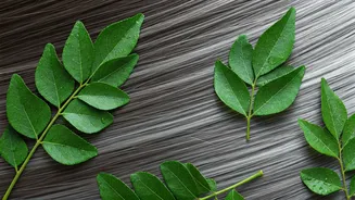 Curry Leaves for Grey Hair: Unveiling DIY Recipes, Benefits, and the Truth About Reversal