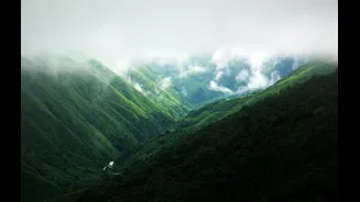 Exploring India's Hill Stations During the Monsoon