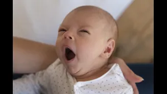 Bebês podem responder ao bocejo da mãe ainda no útero