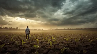 Weakest Monsoon In 11 Years? How El Niño Could Reignite Inflation Risks