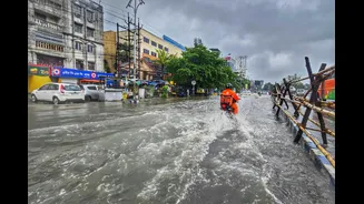 Monsoon Information from India Meteorological Department