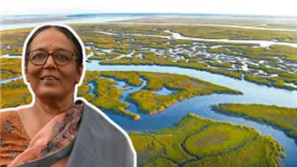 Meet Jayshree Vencatesan: How A 'Maami In A Saree' Became India’s First Ramsar Award Winner And Saved Chennai’s Dying Wetlands