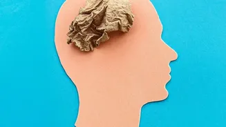 Study Of 488,348 People Examines Pollution And Dementia Association