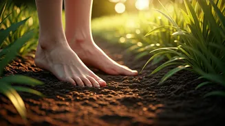 Why Twenty Minutes Of Sun Soil Contact Upgrades Daily Happiness