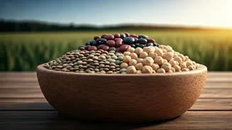 World Pulses Day 2026: Unpacking the 'Poor Man's Protein' Powerhouse
