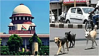 '...We Will Impose Heavy Compensation On Govts Responsible': Supreme Court's BIG Remark In Stray Dogs Case