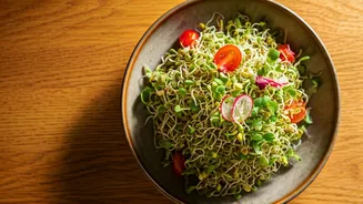 Sprout Salad: The Ultimate Light & Cooling Dinner for Hot Days