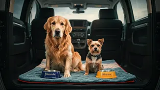 Food Breaks Matter In Pet-Friendly Travel Plans