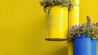 Monsoon Gardening Is Making Compact Balconies Feel More Colourful And Lived-In