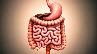 Six Yoga Poses for Stellar Digestion