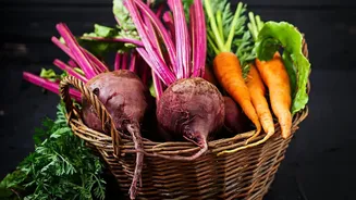 Heritage Drinks Revival: Black Carrot And Beetroot Probiotic Kanji Trends Across Indian Cities