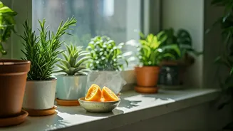 Freshen Your Home Naturally Without Artificial Sprays