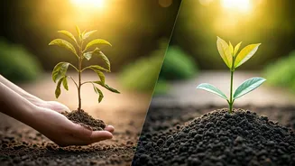 Teenage Turmoil: Spotting Coping vs. Escaping Emotional Distress