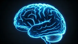 10 Brain Workouts: Sharpen Your Memory Daily!