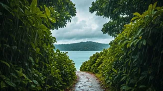 Lush Monsoon Andaman Looks Better Than Expected