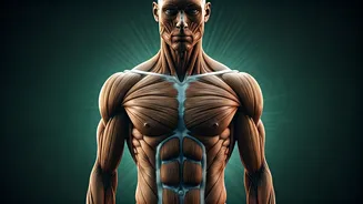 Nagarjuna at 60+: Unlocking the Secrets to His Enduring Ageless Physique