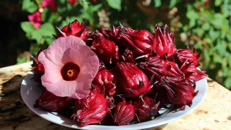 Roselle v/s wood apple: Which is better for you?