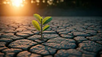 Navigating Job Loss: Smart Strategies for Resilience Beyond the Pink Slip