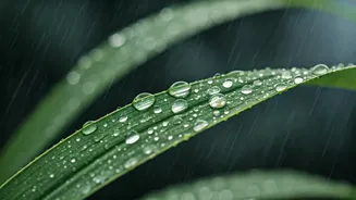 Rainy Weather Doesn't End The Need For SPF