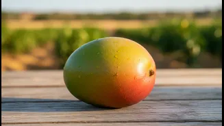 What Mango Festivals could change about grower knowledge, tourism and local food economies