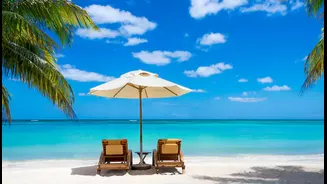 Ticket to Paradise: Unmissable Things to Do on Paradise Island