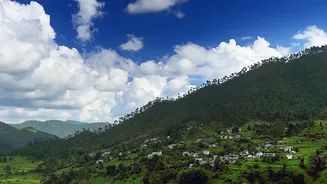 Young travellers book eco homestays in Ziro Valley using valid Inner Line Permits
