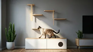 High Rise Apartment Dwellers Install Aesthetic Cat Ification Wall Shelves