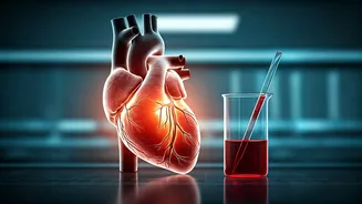 Silent Danger: Why Your Normal Tests Might Miss a Heart Attack Risk