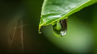 Related Stories banner