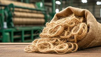 Jute Industry Gets a Lift: National Fibre Scheme's Impact