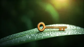 Unlock Your Potential: Why Happiness is the True Key to Success