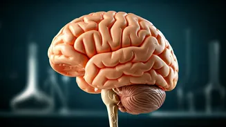 Weekly Health Insights: Zodiac Health Tips for November 17-23