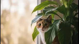 Do Not Trust The Nursery Label To Explain Pet Risk Fully
