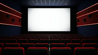 Bollywood Blockbusters: Upcoming Film Releases and Box Office Buzz!