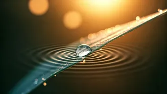 Unlock Your Metabolism's Secrets: Decode Morning Dry Mouth & Bad Breath