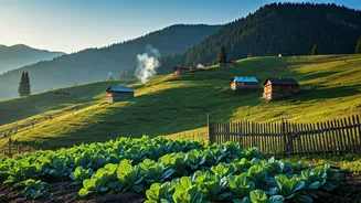 Remote Community Run Farm Stays Trend Across Himachal Pradesh