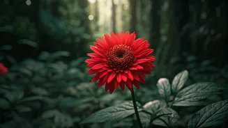 Unveiling Rare Flora: A Conservationist's Triumph