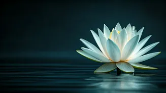 Sister Shivani's Wisdom: Forgiveness is Your Path to Inner Peace as a Mom