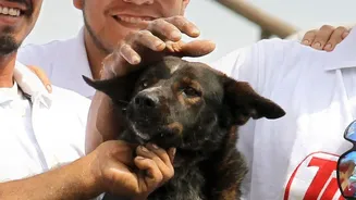 A Growing Market Does Not Guarantee Trained Pet-Care Staff