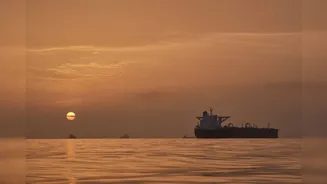 7 Indian Ships Are In Persian Gulf, Confirms MEA: 'Our Responsibility To Ensure Safety...'