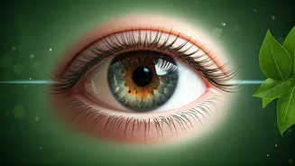 Safeguarding Your Sight: Expert Advice on Preventing and Slowing Low Vision