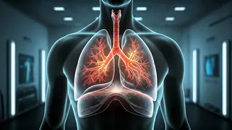 Breathwork Turns Recovery Into A Performance Tool