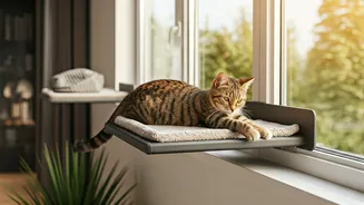 Heavy Duty Floating Sun Perches Double Cat Living Space