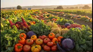 Crop Diversity And Hidden Hunger is giving hidden-hunger policy a stronger farm-system angle