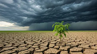 Erratic Monsoon May Put Pressure On Family Budgets