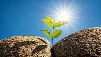 7 Habits for Nurturing Future Leaders in Your Child