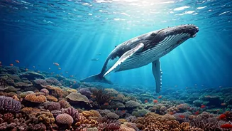 Dive Deep: Masterclass Unveils Marine Biodiversity's Underwater Wonders