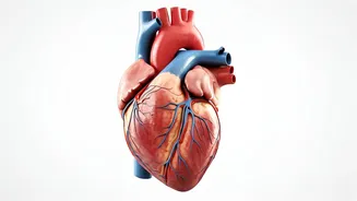 5 Morning Drinks for Heart Health & Artery Plaque Prevention
