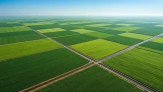 What Satellite-Based Crop Monitoring Means For Indian Farmers