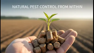 Natural Pest Checks Have Entered The Feed